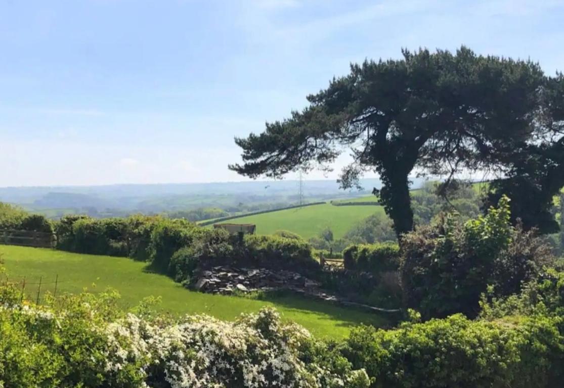 Cheviots Holiday home Totnes
